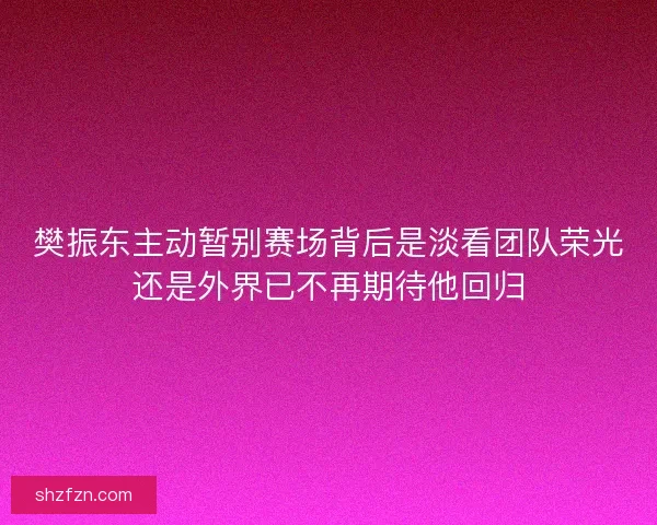 樊振东主动暂别赛场背后是淡看团队荣光还是外界已不再期待他回归